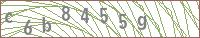 c6b8455g