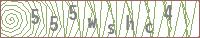 555wshc4